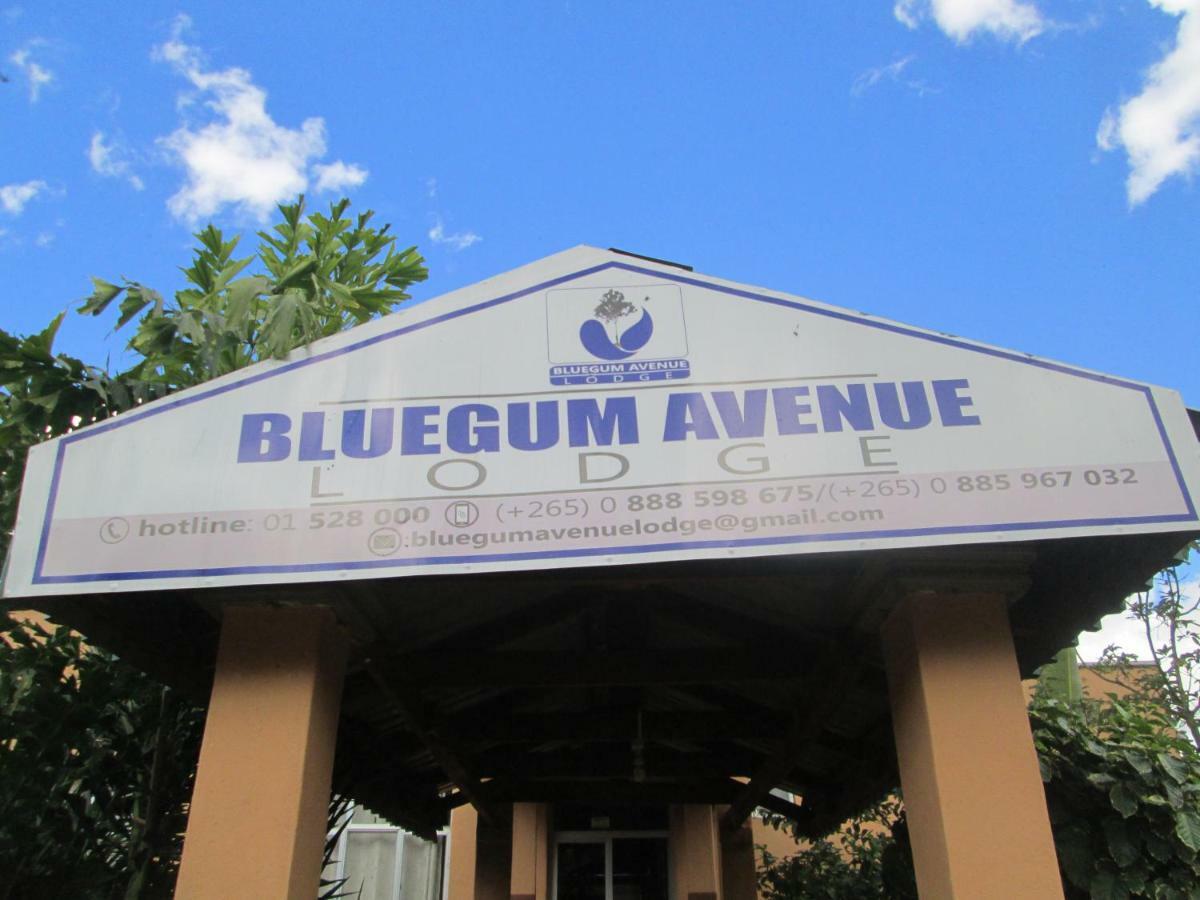 Bluegum Avenue Lodge Zomba Eksteriør bilde